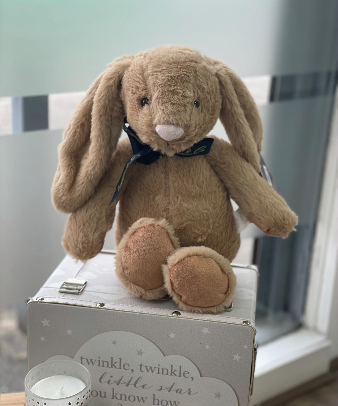 A keepsake bunny and memory box from Precious Glimpse
